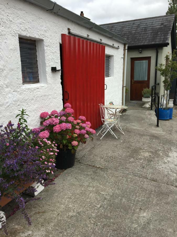 Carey'S Bar & Farmhouse Kilkenny Border Oldleighlin Kültér fotó